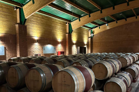 Wine Day Tour: Discover 3 wineries in Casablanca