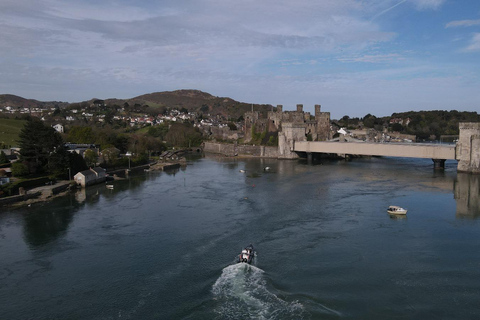 Conwy: Great Orme Sea Life Voyage