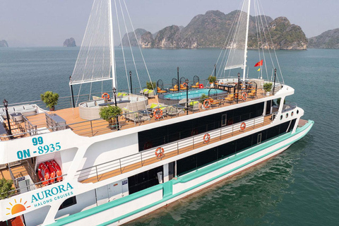 Hanoi: Aurora Halong Day Cruise - Lunch, Kayak, Swim, Cave from Halong: Cruise with Buffet, Kayaking (No transfer)