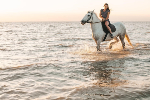 Ibiza : Expérience privée d'équitation dans la nature