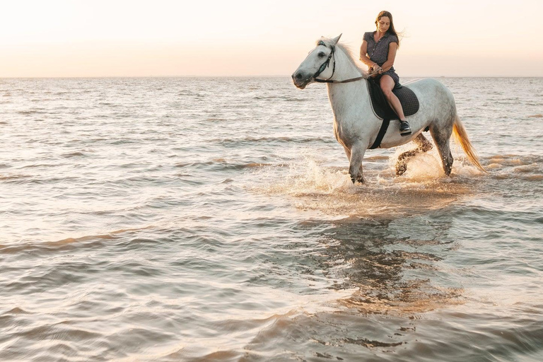Ibiza : Expérience privée d'équitation dans la nature