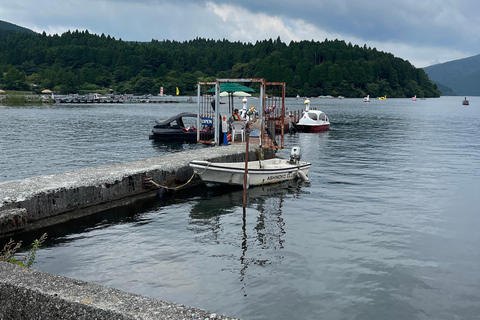 4-Daagse privétour Mt Fuji, Hakone, Nikko en Tokio.