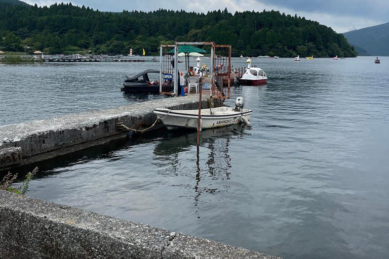 4-Daagse privétour Mt Fuji, Hakone, Nikko en Tokio.