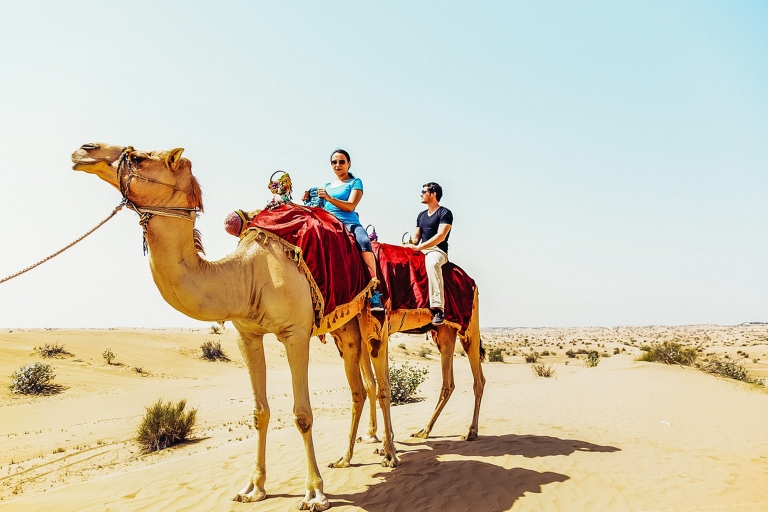 Dubai: Red Dune Safari, Camel Riding, Sandboarding & BBQ Shared Red Dunes with BBQ Dinner (7-Hours)