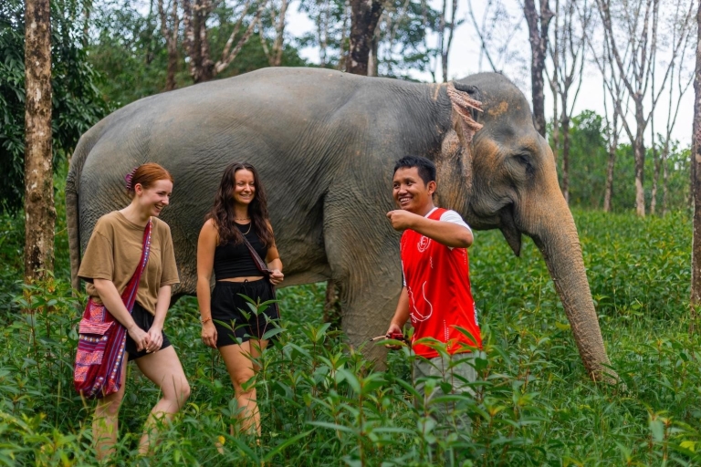 Phuket: Ethisches Elefanten-Schutzzentrum − Interaktive TourTicket & Privater Transfer ab Hotels in Phuket