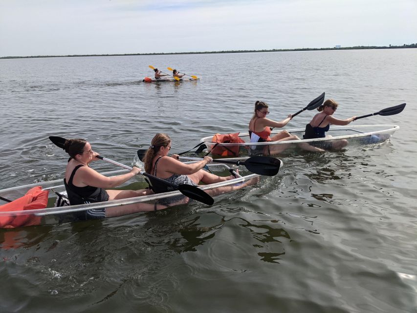 Orlando: Dolphin Clear Kayak or Paddle Board Adventure