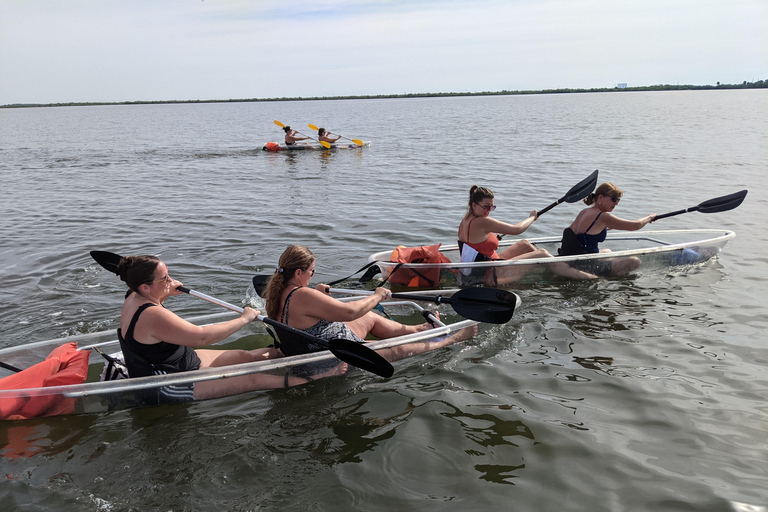 Orlando: Dolphin Clear kajak of peddel avontuurDolfijnentocht