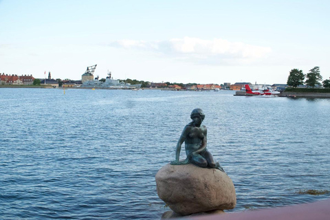 Copenaghen: Maxitour in inglese