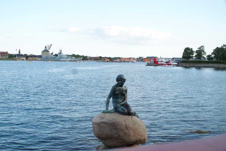 Copenaghen: Maxitour in inglese