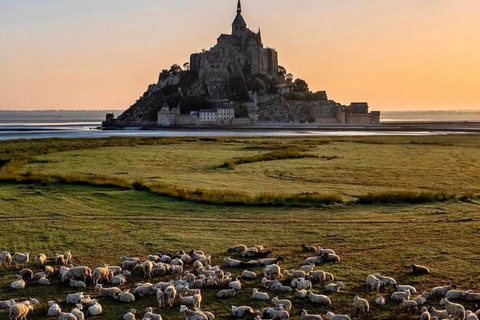 Wycieczka po Mont-Saint Michel z przewodnikiem krajowym