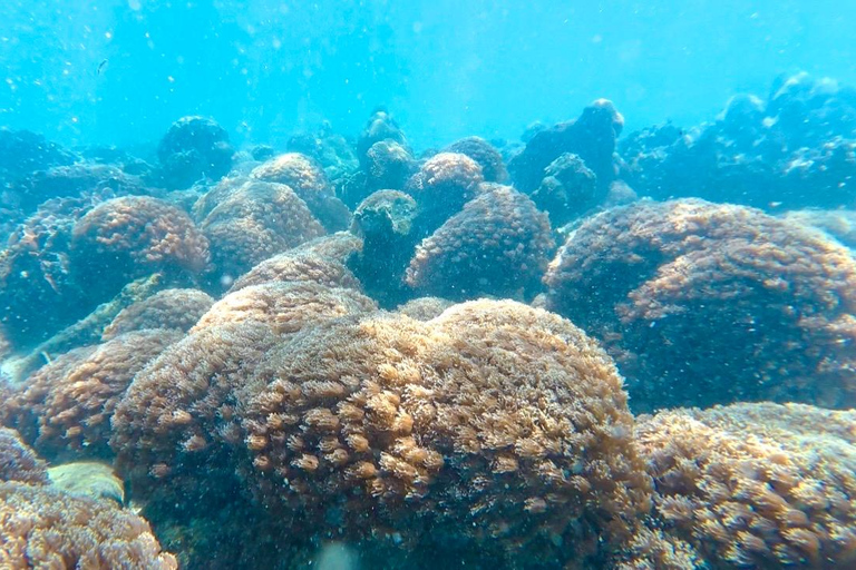 Hong Kong Geopark: Volcano Sightseeing & Hidden Coral Snorkeling Experience (Private) Volcano Sightseeing & Snorkelling Experience