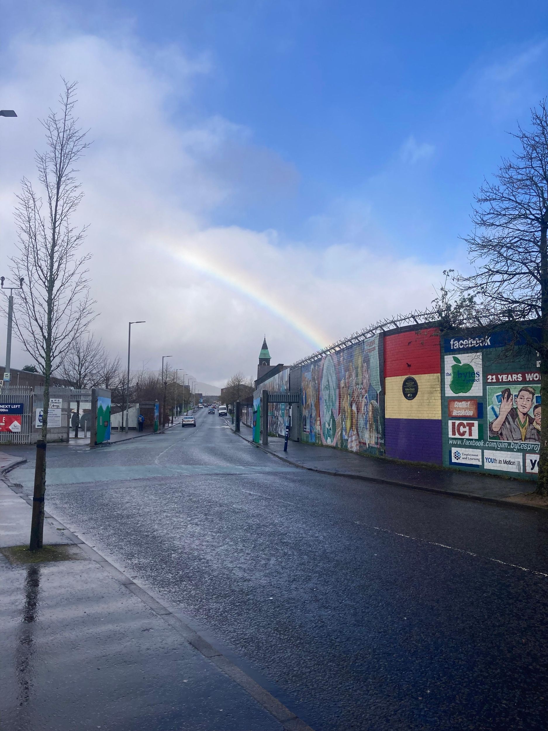 Belfast: Geführter Rundgang zu Mauern und Brücken der Probleme