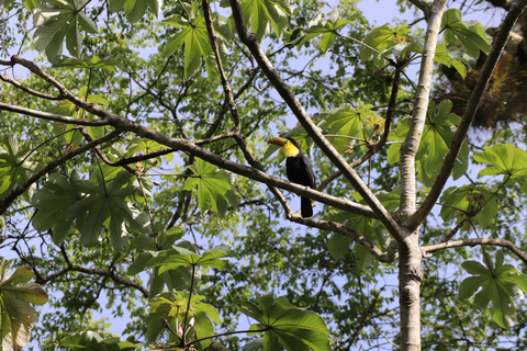 Pokhara : 3 jours de safari culturel dans la jungle et la faune