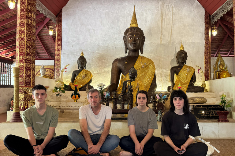 Chiang Mai: Tempel, natuur en cultuur in één dag.Olifantenopvang en Doi Suthep Tour.