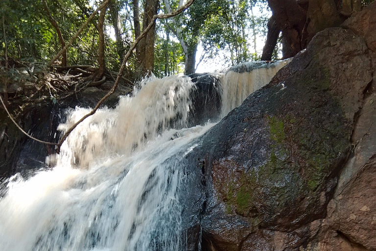 Nairobi: tour guiado a pie por el bosque de Karura