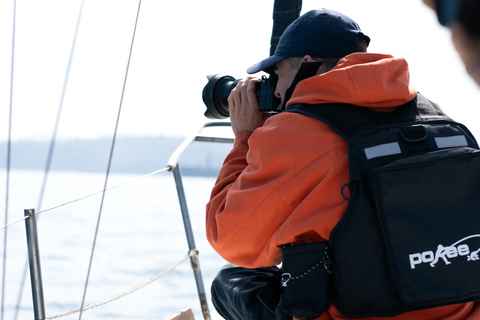 zeiltocht langs de kust van Chili