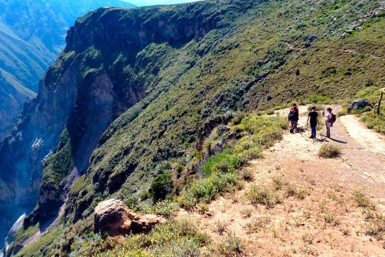 Caminata dentro del Cañón del Colca 2 DÍAS con comidas en Arequipa