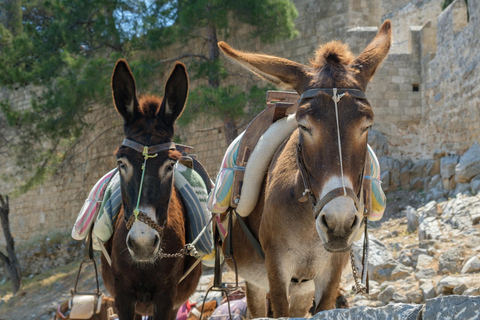 Rhodos Deluxe Tour inclusief Lindos, Oude Stad, Wijnproeverij