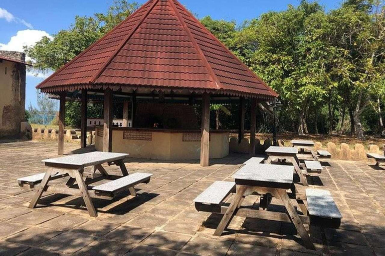 ZANZÍBAR: isla de la Prisión, natación en cuevas y Laguna Azul