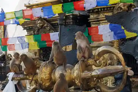 Tour a piedi di Kathmandu (mezza giornata)