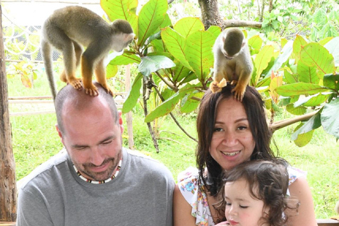 Puerto Plata: Monkey home, Damajagua Waterfalls & City Tour