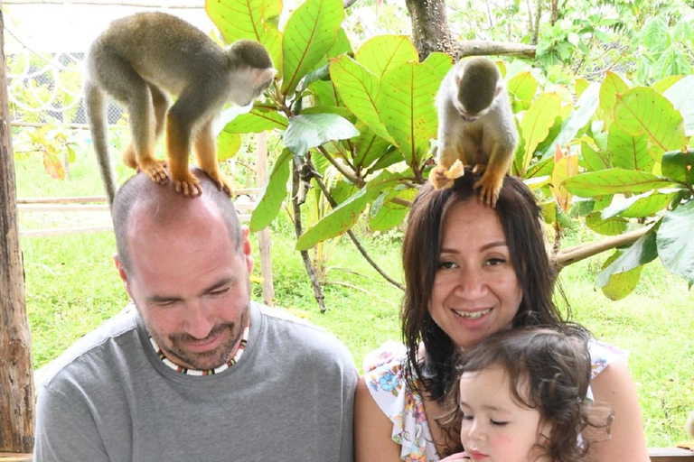 Puerto Plata: Monkey home, Damajagua Waterfalls & City Tour