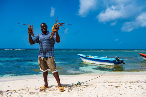 Punta Cana: Dia inteiro na Ilha Saona Almoço Open Bar e Ida e Volta