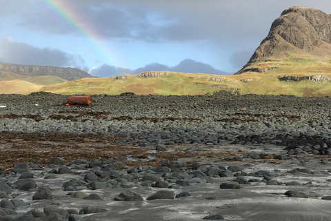 Skye's Wild West Coast Day Tour: Talisker Bay & Neist Point