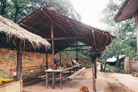 Doi Inthanon & Ang Ka Noi Local Life Tour
