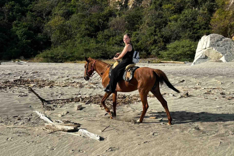 From Huatulco: Beach Horseback Riding Experience Regular Beach Horseback Riding Tour (2 hours)