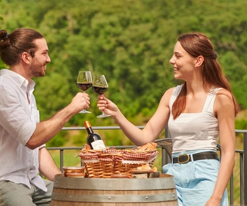 Saint-Emilion: Grand Cru Classé Rehberli Şaraphane Ziyareti ve Piknik