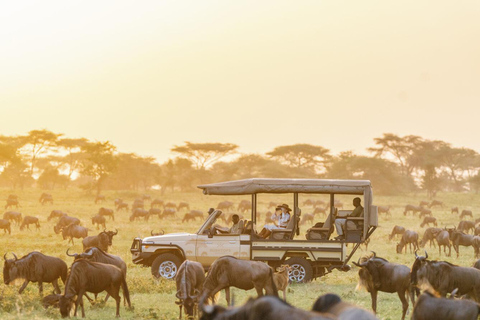 4-dniowe safari Masai Mara połączone z lotem balonem na ogrzane powietrze