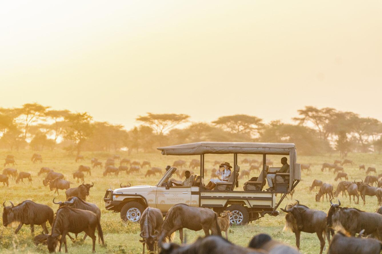 4-dniowe safari Masai Mara połączone z lotem balonem na ogrzane powietrze