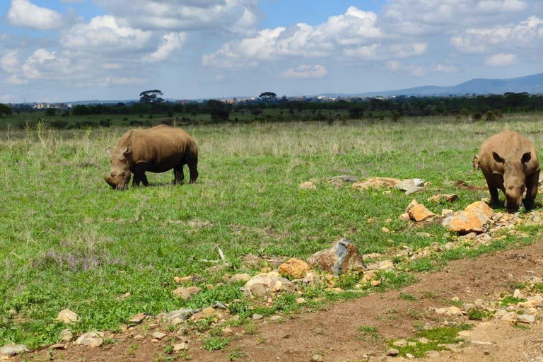 Parco nazionale di Amboseli; safari di 2 giorni da Nairobi.