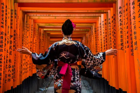 Kyoto: En Önemli Noktalara Tam Günlük Rehberli Otobüs Turu & Biletler