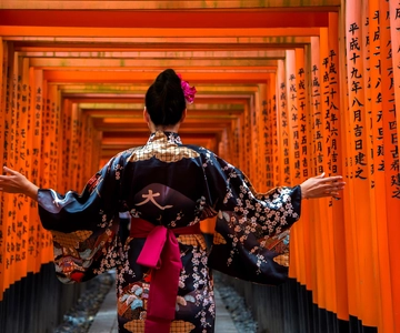 Kyoto: Heldags guidet busstur til de viktigste høydepunktene og billetter