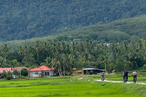 Langkawi: Small Group Countryside Cycling Tour Paddy Fields