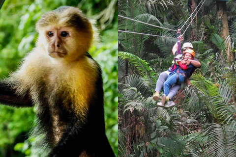 Panama : L&#039;île aux singes et la forêt tropicale de Gamboa en tyrolienne