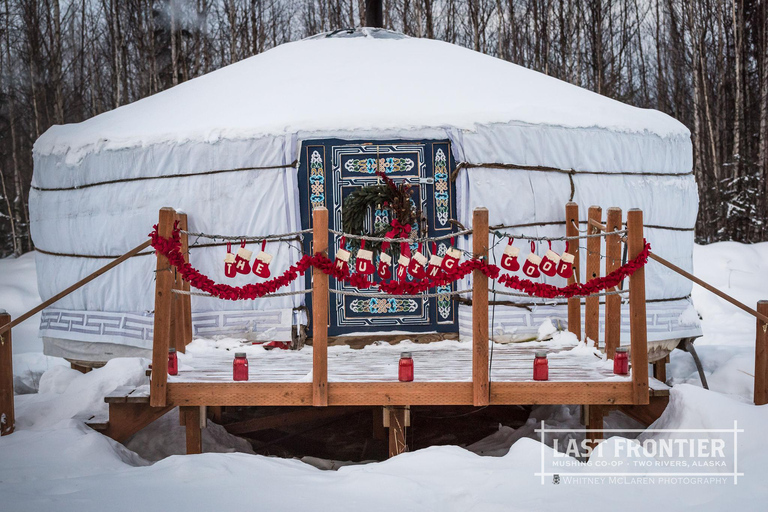 Fairbanks: Private Mush on the Historic Yukon Quest Trail