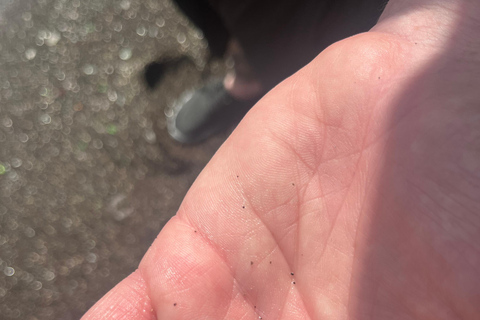 Hike St. Kitts: Sea Glass Discovery at Volcanic Beach Private Hike St. Kitts: Sea Glass Discovery Volcanic Beach