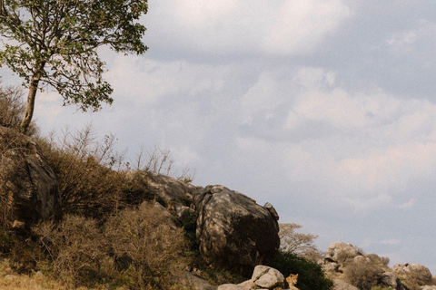 Arusha: Safari di 4 giorni al Lago Manyara, Serengeti e Ngorongoro