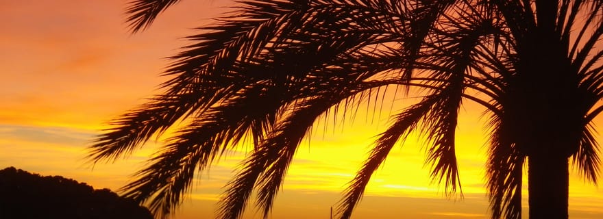 Martinique : Snorkeling de nuit : Vivez la magie des récifs et des étoiles