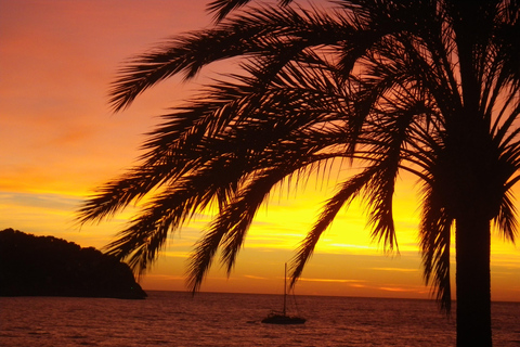 Snorkelen 's nachts: Ervaar de magie van de riffen onder de sterrenhemel