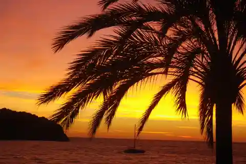 Martinique: Night snorkeling: Experience the magic of reefs and stars