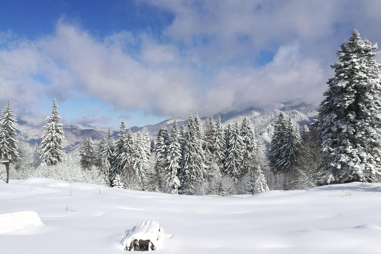 Schneemobil-, ATV- oder Buggy-Tour ab BukarestSchneemobil Privat