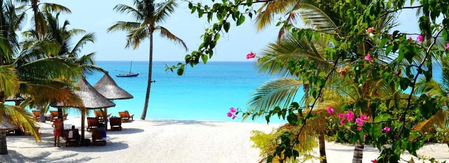 Promenade écologique à Zanzibar : Plages isolées et le restaurant The Rock