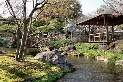 Osaka: Castelo de Himeji, Arima Onsen e Mt. Rokko - excursão de 1 dia de ônibus