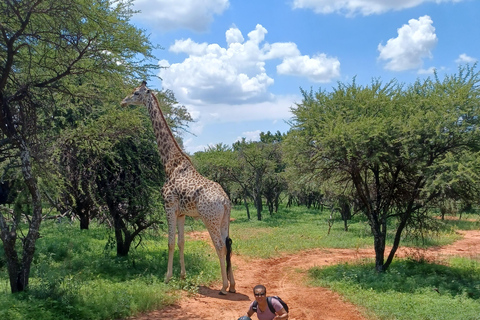 JOHANNESBURG: Aventura a cavalo e em quadriciclo