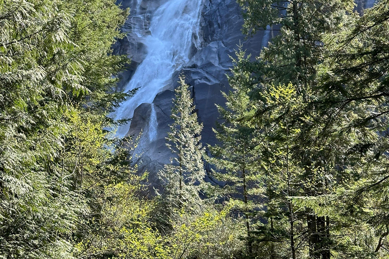 Z Vancouver: Wycieczka gondolą Sea to Sky Gondola i zwiedzanie miejscowości Whistler VillageZ Vancouver: Wycieczka kolejką Sea to Sky Gondola i zwiedzanie miejscowości Whistler