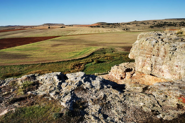Salamanca: Prywatne pola bitewne w Salamance Half-Day TripSalamanka: Prywatna półdniowa wycieczka do pól bitewnych Salamanki